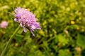 2019_06_09 (0067)